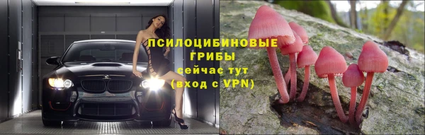 стаф Лабытнанги