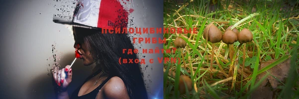 стаф Лабытнанги