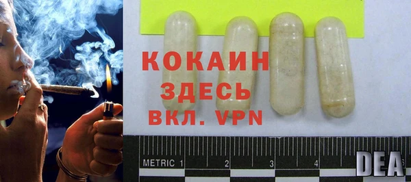 стафф Ладушкин