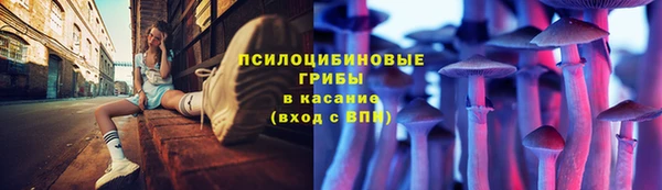 стаф Лабытнанги