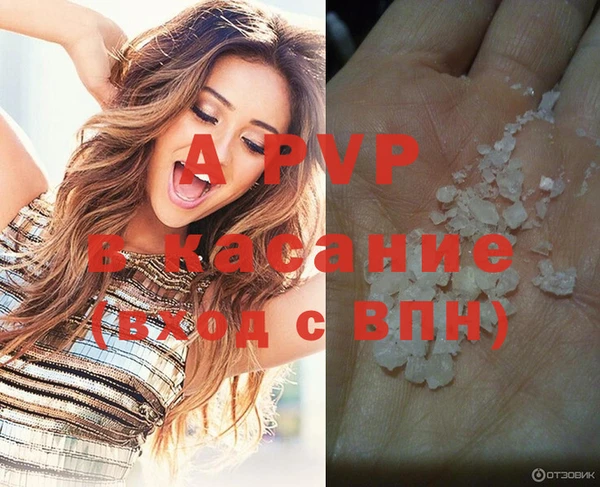 стаф Лабытнанги