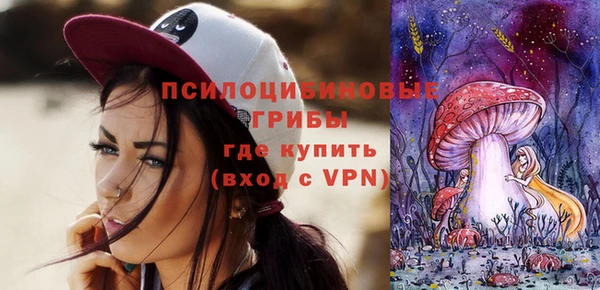 стаф Лабытнанги