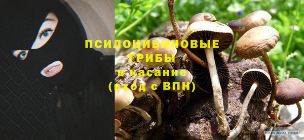 стафф Ладушкин