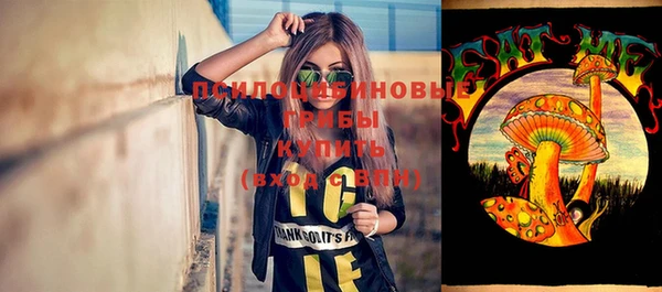 стафф Ладушкин