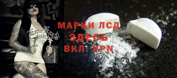 стафф Ладушкин