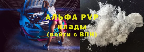 стафф Ладушкин