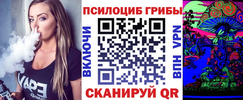 Псилоцибиновые грибы Cubensis  купить  цена  Златоуст 
