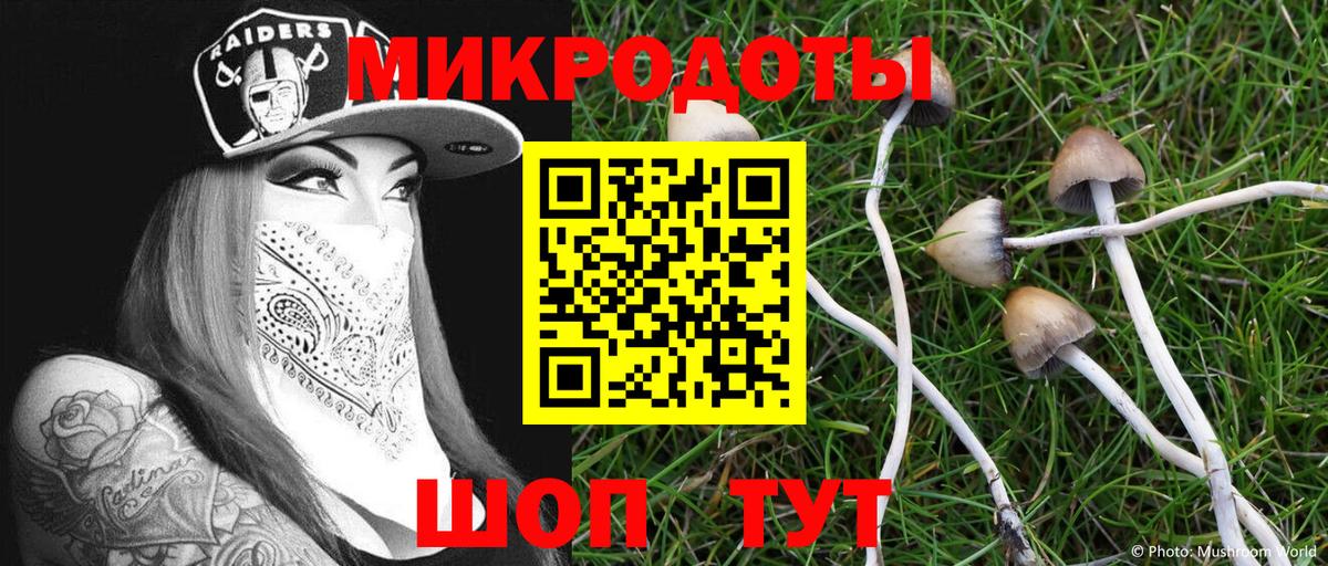 Галлюциногенные грибы Psilocybine cubensis Златоуст